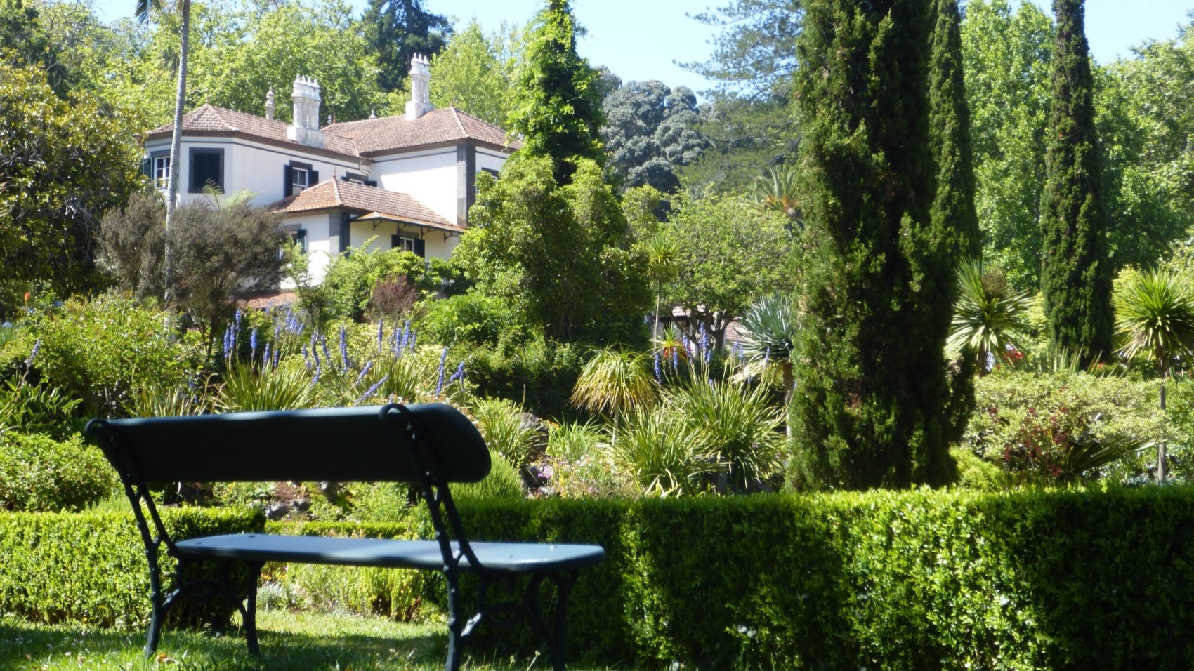 Madeira-Garden-Wine-and-Sidecar-Tour-Botanical-house